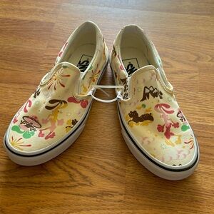 Vans new skater shoe various sizes